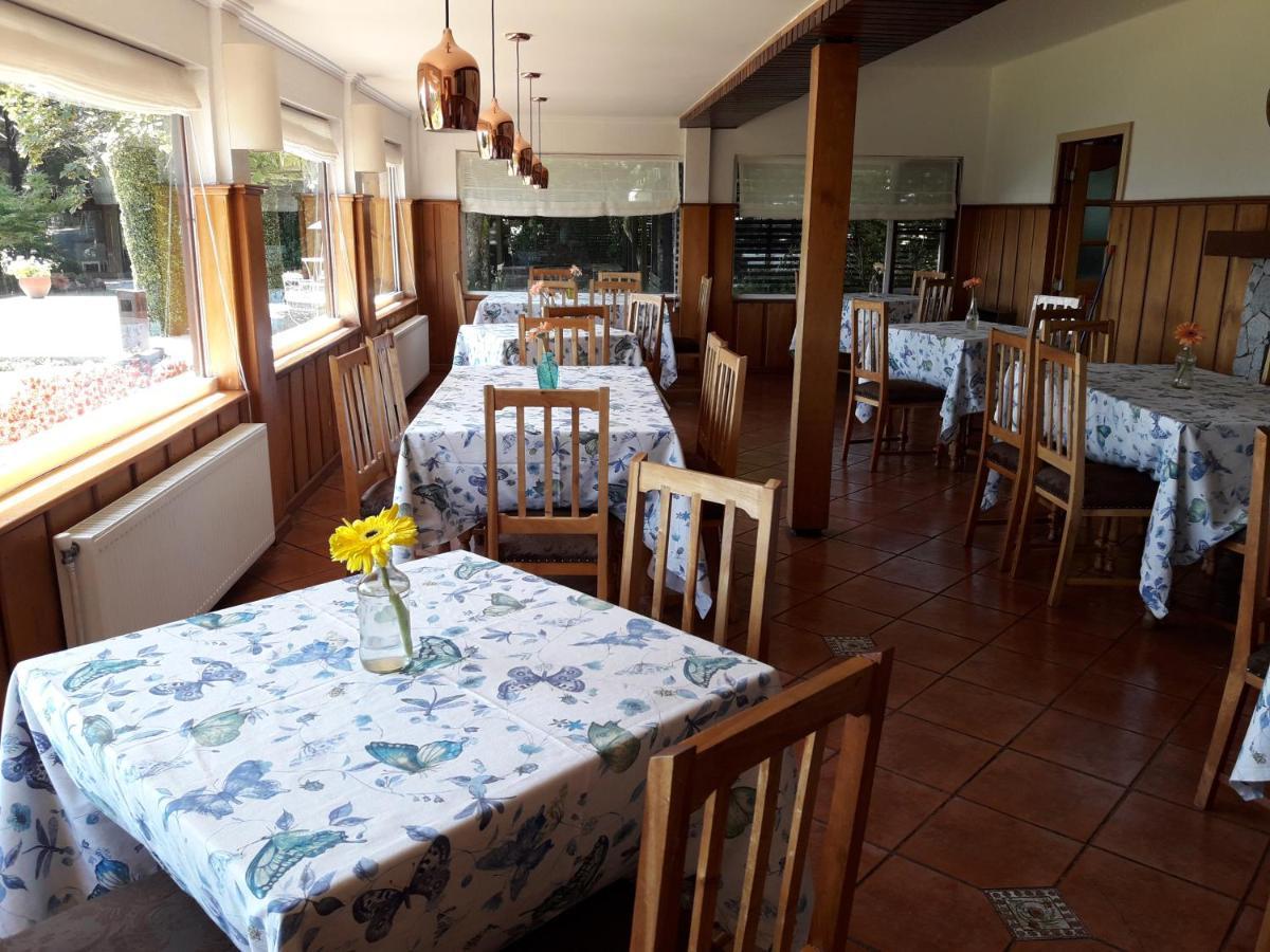 Hotel Y Cabanas El Parque Villarrica Luaran gambar